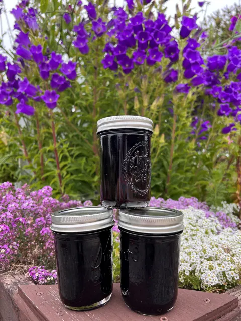 lime blueberry jam